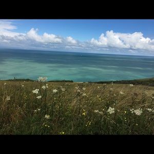 Meet your Posher, Sierra